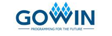 Gowin Semiconductor