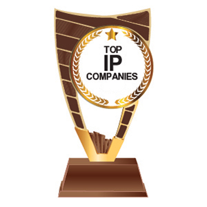 Top IP Companies